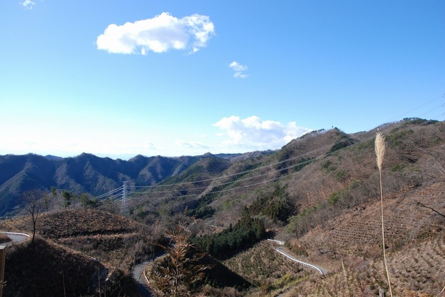 足利の山