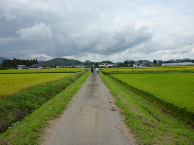 高鳥屋山側から見た一本道の風景