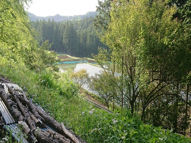 近くの風景（川あり）