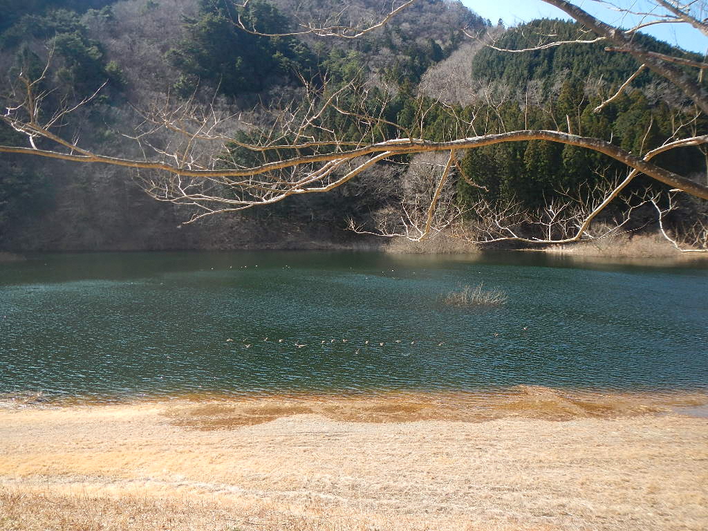 東古屋キャンプ場