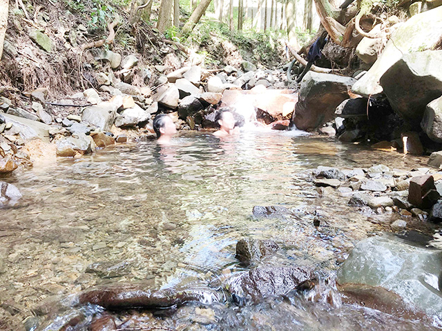 サワガニやホタルも見れる場内の沢