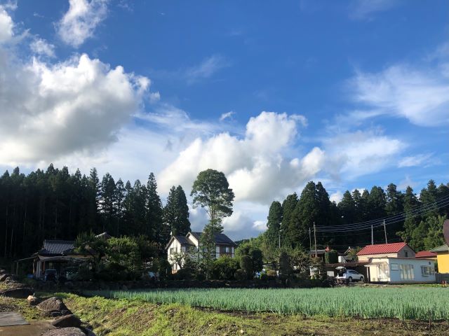 外では、四季を感じる自然豊かな光景が広がります。動物たちの鳴き声も聞こえます。